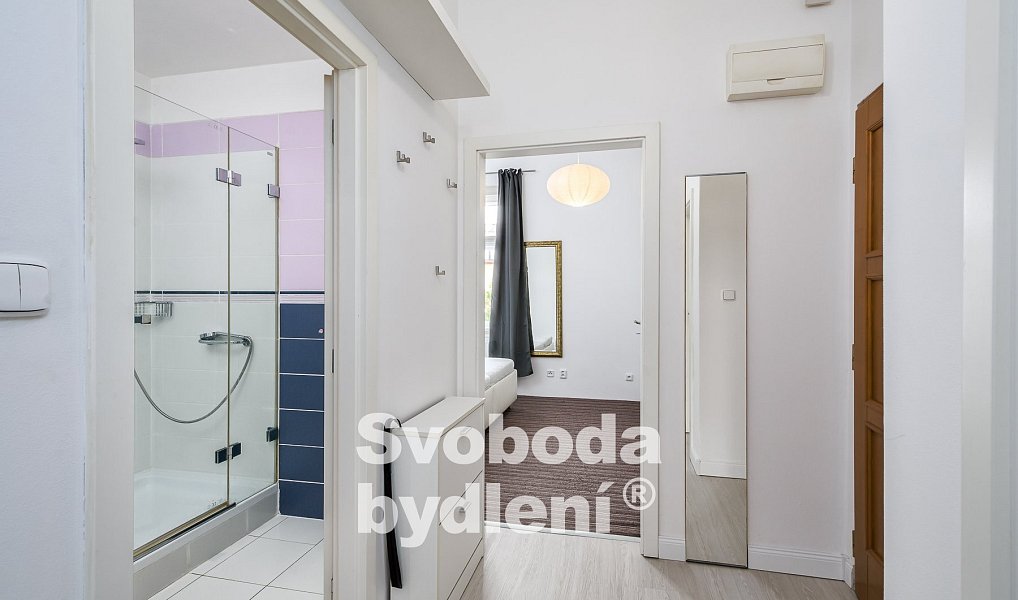 Pronájem bytu 2+kk 51 m², Praha – náhled fotky 9