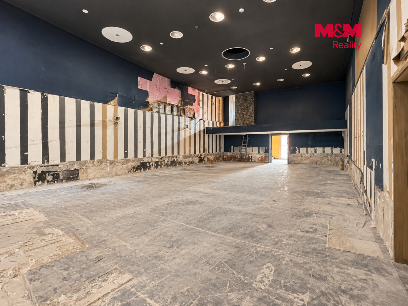 Pronájem obchodních prostor 237 m² – fotografie 2