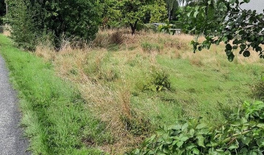 Prodej stavebního pozemku 1 366 m², Jiříkov – náhled fotky 3