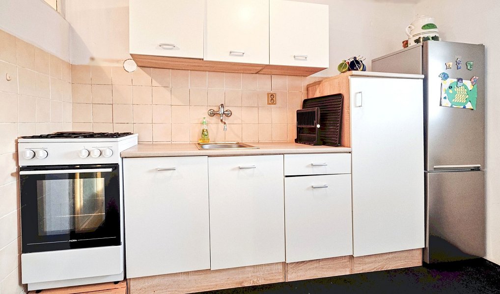 Prodej domu 87 m² s pozemkem 7 779 m², Podhořany u Ronova – náhled fotky 13