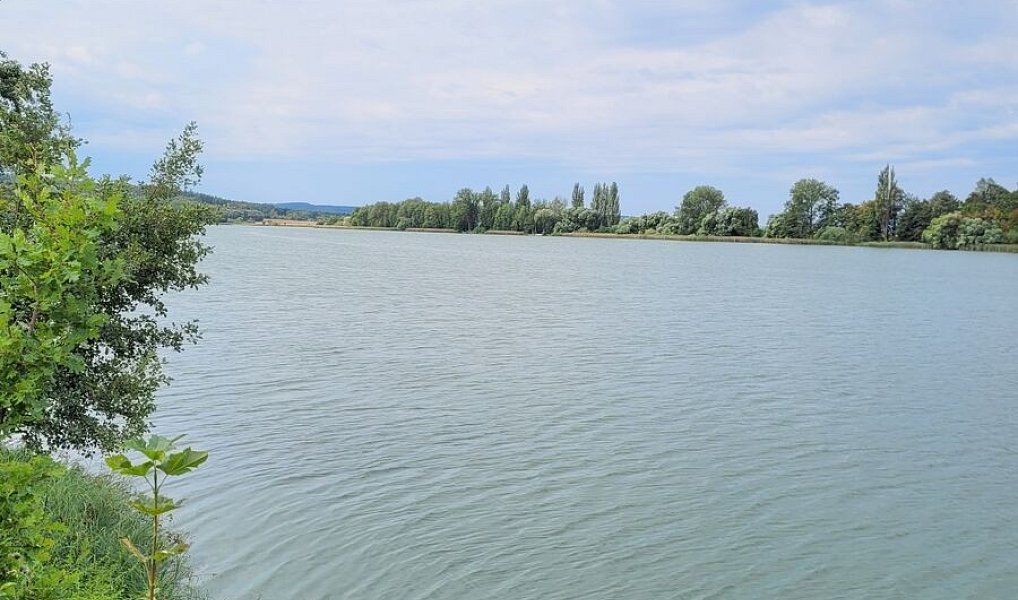 Prodej chaty/chalupy 60 m² s pozemkem 458 m², Jesenice – náhled fotky 22