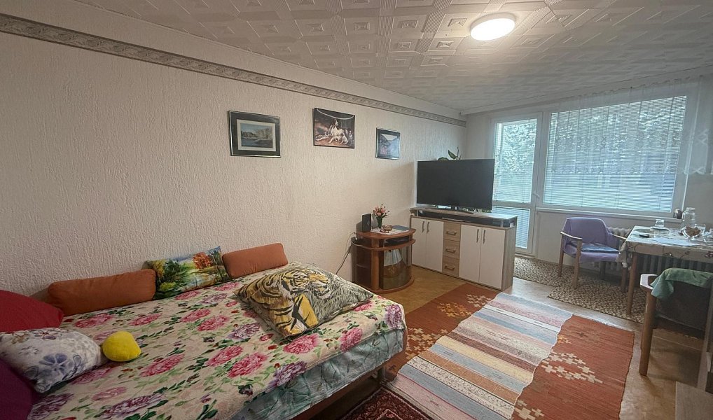 Prodej bytu 4+1 83 m², Litvínov – náhled fotky 10