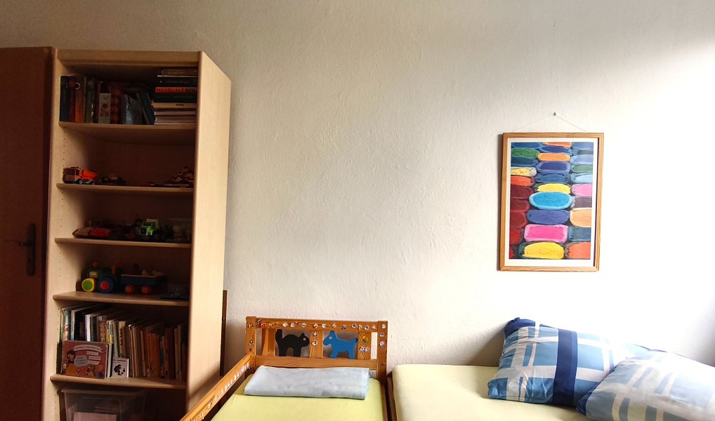 Prodej domu 285 m² s pozemkem 1 062 m², Ostrava – náhled fotky 40