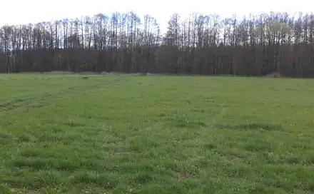 Dražba louky 2 609 m², Tachov
