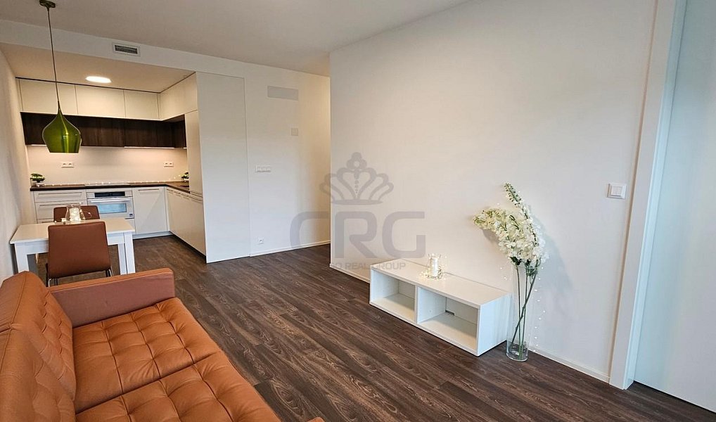 Pronájem bytu 2+kk 55 m², Brno – náhled fotky 14