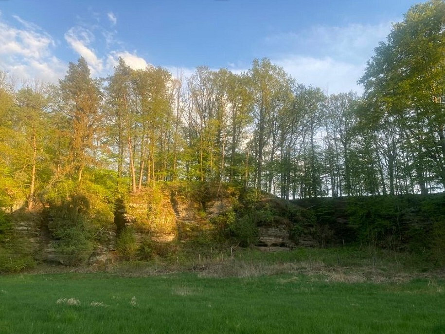 Dražba louky 3 829 m²