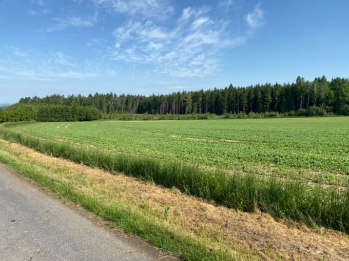 Prodej stavebního pozemku 8 669 m² – fotografie 4