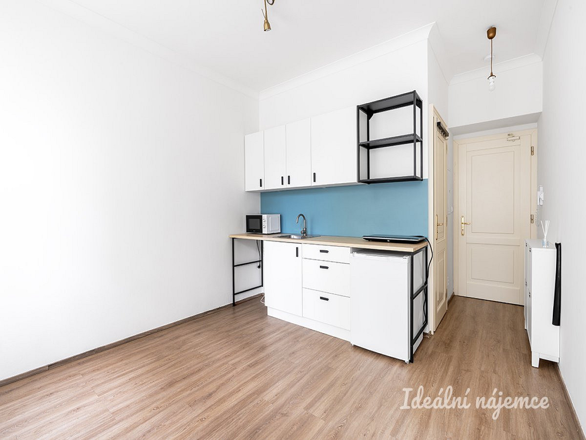 Pronájem bytu 1+kk 18 m², Praha