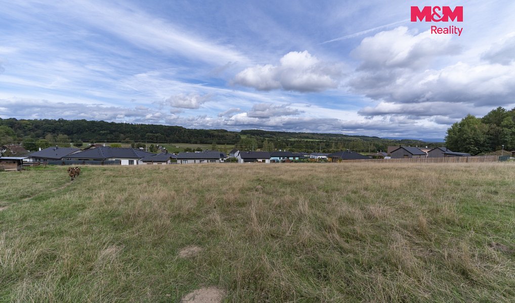 Prodej stavebního pozemku 4 651 m², Šabina – náhled fotky 4