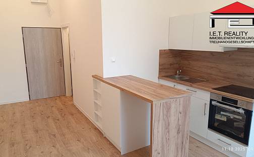 Pronájem bytu 1+kk 22 m², Palackého, Ostrava - Přívoz