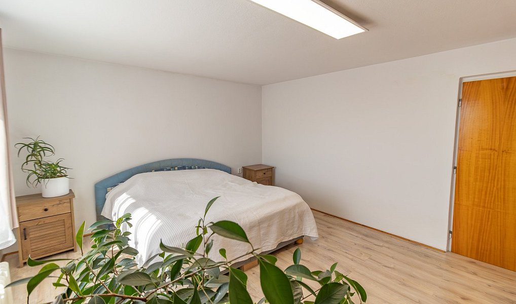 Prodej domu 300 m² s pozemkem 788 m², Klatovy – náhled fotky 18