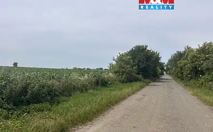 Prodej pole 8 491 m², Prostějov - Žešov