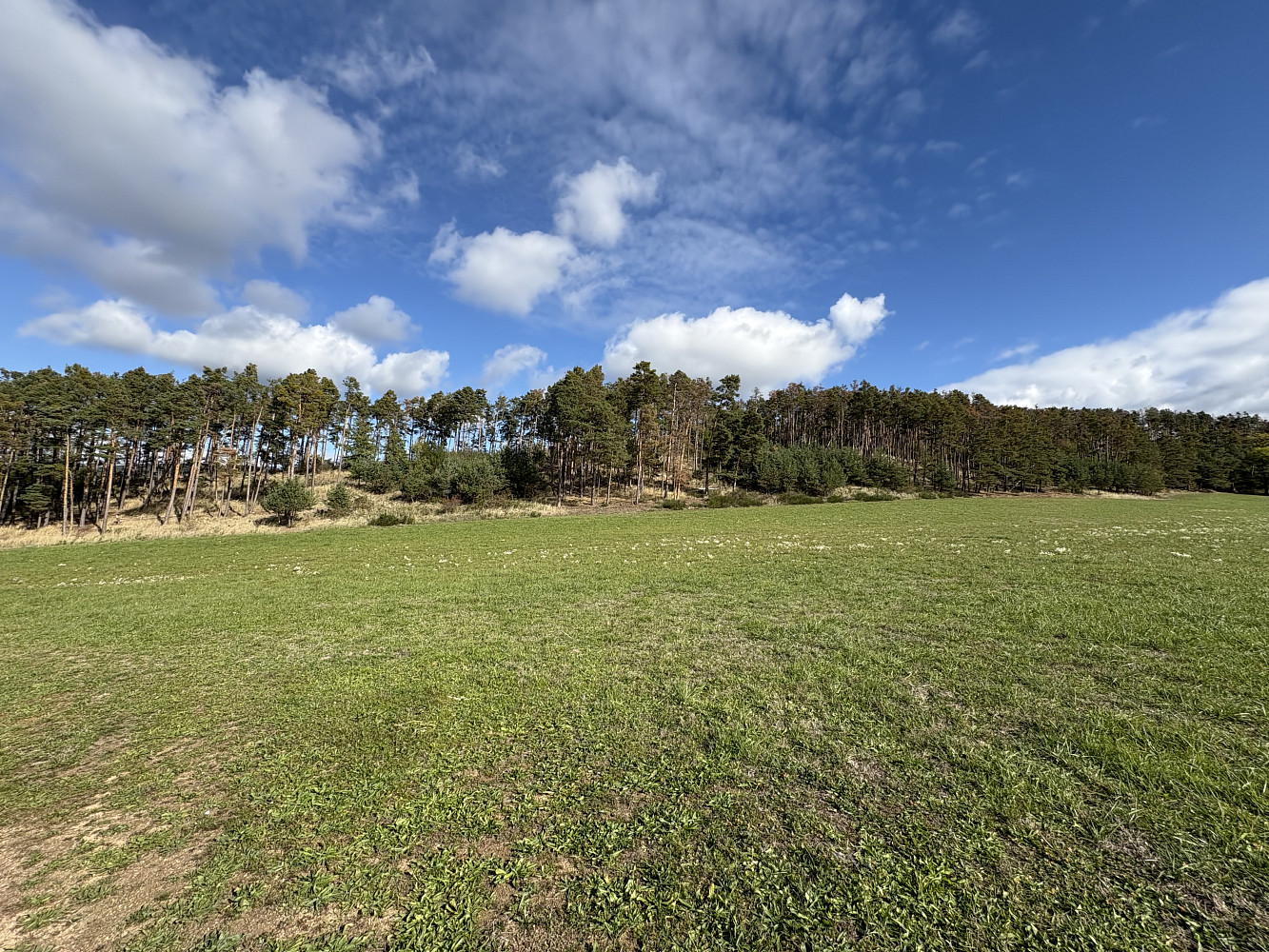 Prodej pole 85 916 m²