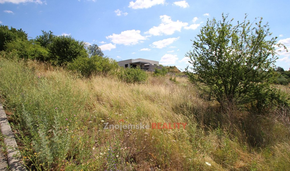 Prodej stavebního pozemku 2 679 m², Dyje – náhled fotky 2