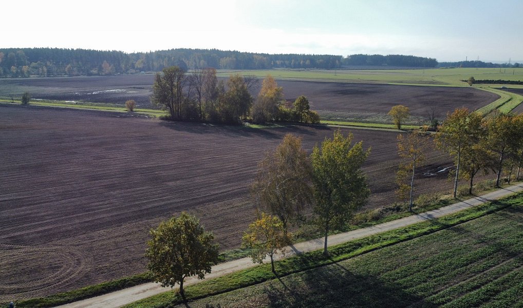 Prodej pole 49 992 m², Řípec – náhled fotky 9