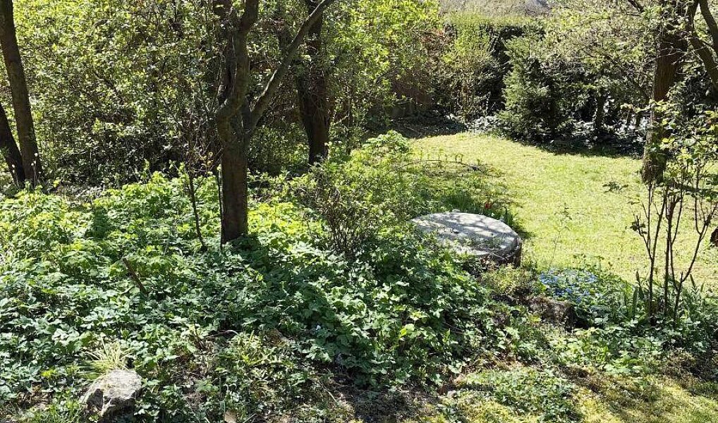 Prodej domu 112 m² s pozemkem 129 m², Knínice – náhled fotky 26
