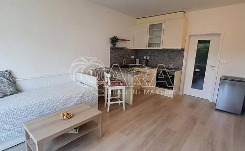 Pronájem bytu 1+kk 32 m², Šífařská, Praha 4 - Hodkovičky