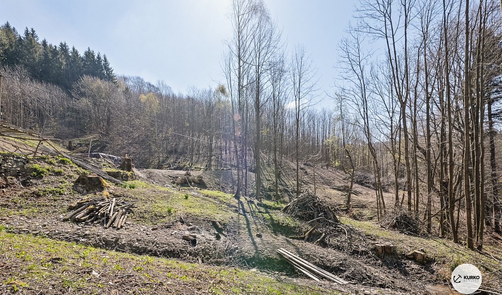 Prodej chaty/chalupy 120 m² s pozemkem 64 360 m², Morávka – náhled fotky 16