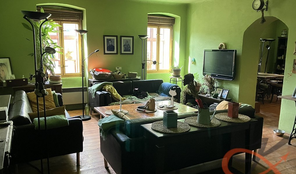 Prodej domu 438 m² s pozemkem 1 792 m², Čelechovice na Hané – náhled fotky 15