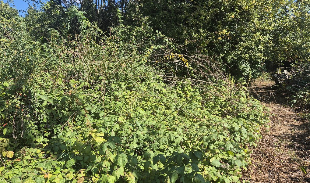 Prodej stavebního pozemku 1 760 m², Český Těšín – fotka 1 z 4