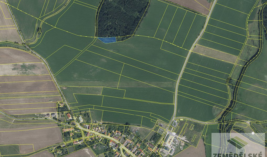 Prodej lesa 4 836 m², Velký Vřešťov – náhled fotky 10