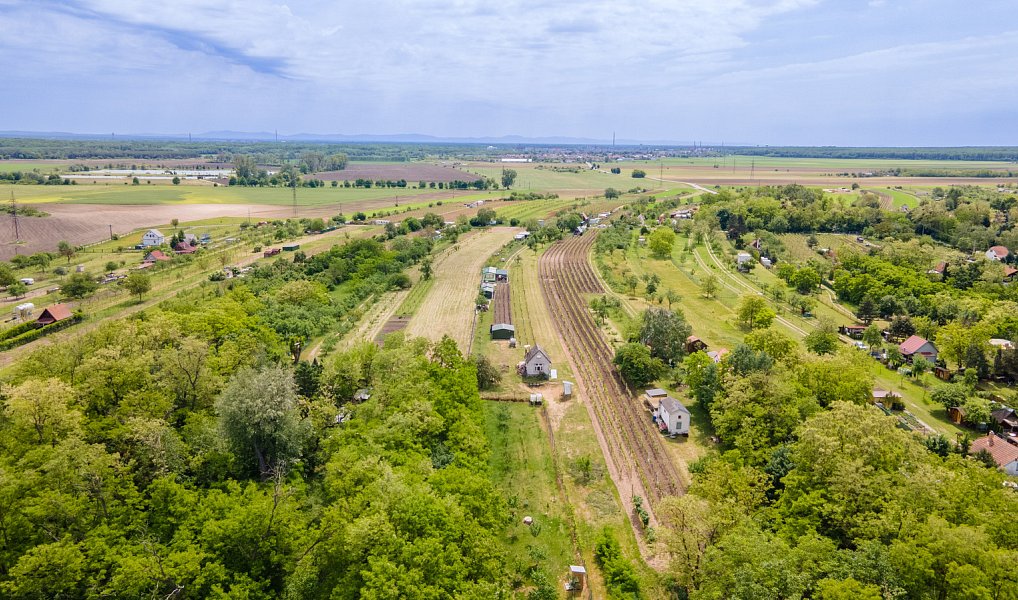 Prodej zahrady 433 m², Břeclav – náhled fotky 5