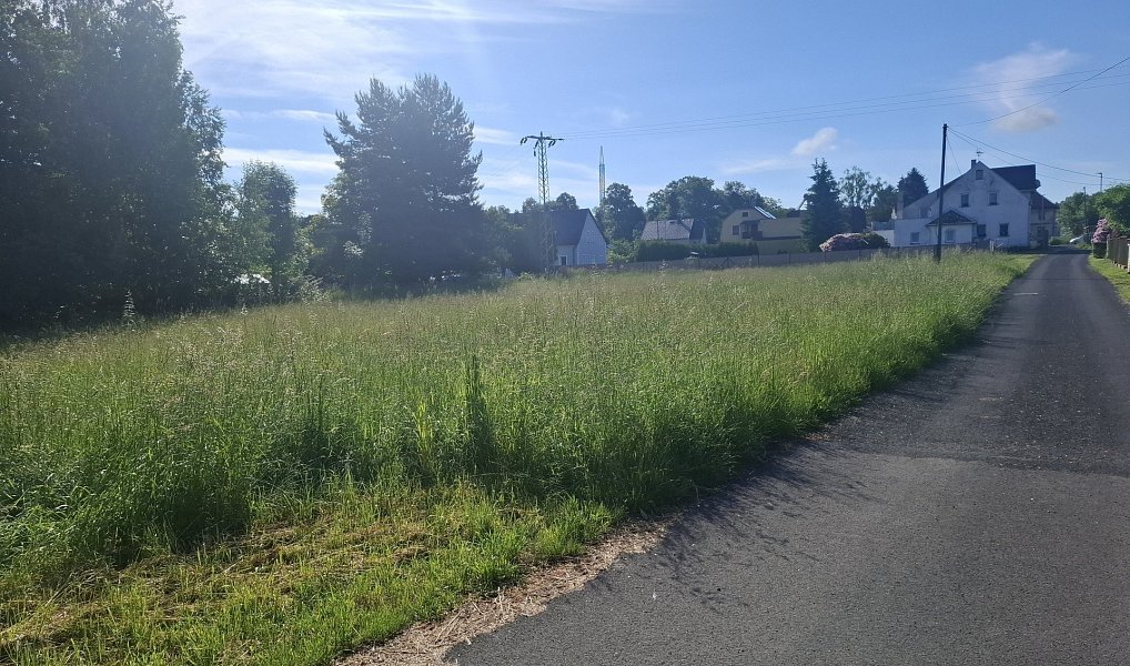 Prodej zahrady 2 102 m², Jiříkov – fotka 1 z 3