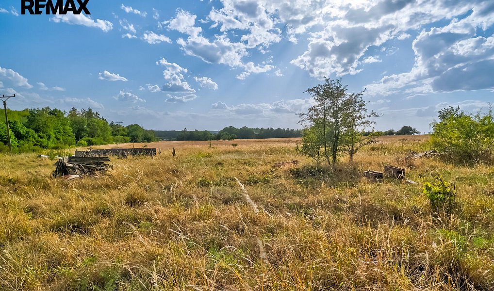 Prodej stavebního pozemku 7 108 m², Liběchov – náhled fotky 14