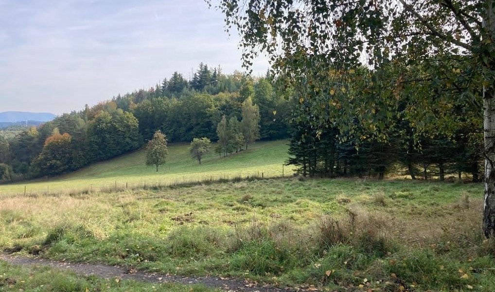 Prodej stavebního pozemku 1 390 m², Děčín – náhled fotky 6