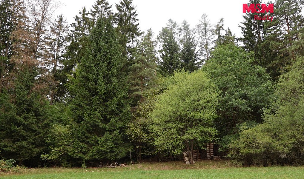 Prodej lesa 1 762 m², Chanovice – náhled fotky 5