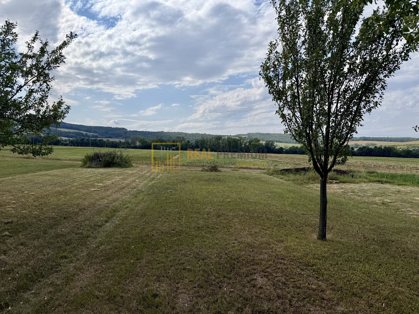 Prodej pole 8 142 m² – fotografie 3