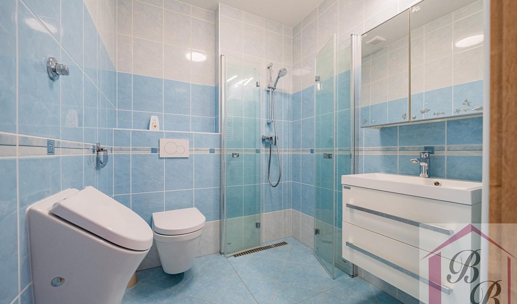 Prodej domu 154 m² s pozemkem 256 m², Mladá Boleslav – náhled fotky 23