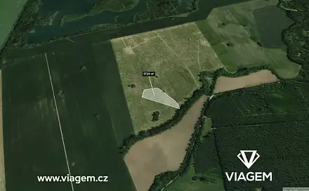 Prodej pole 7 293 m², Týnec, okres Břeclav