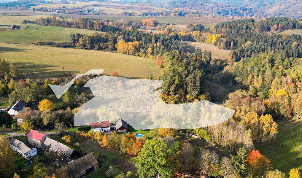 Prodej pozemku 15 970 m², Planá – náhled fotky 17
