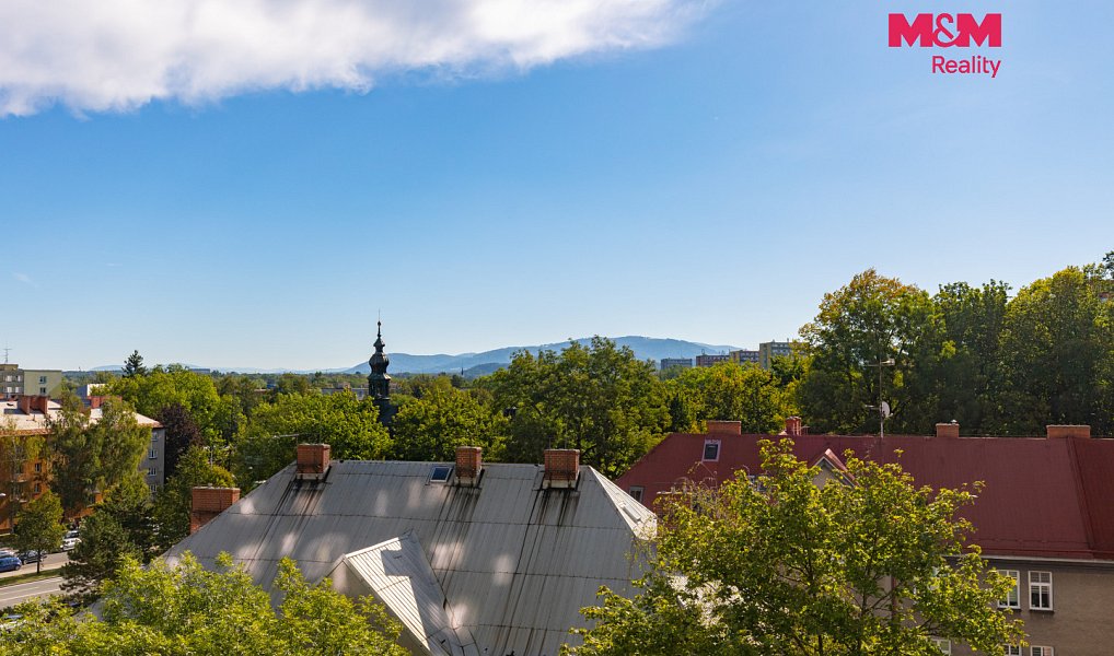 Prodej bytu 1+kk 21 m², Frýdek-Místek – náhled fotky 5