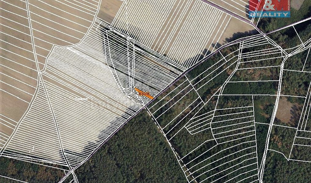 Prodej lesa 299 m², Skoronice – náhled fotky 6