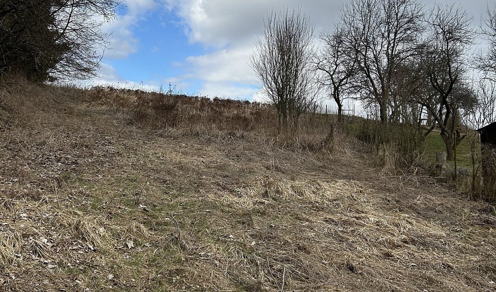 Prodej zahrady 1 799 m², Javorník – náhled fotky 3