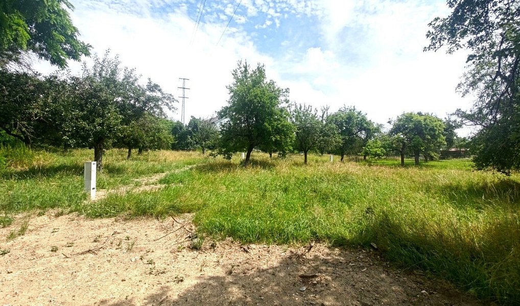 Prodej stavebního pozemku 4 920 m², Plzeň – náhled fotky 4