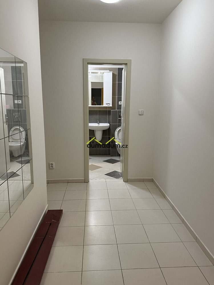 Pronájem bytu 1+kk 32 m² — photo 4