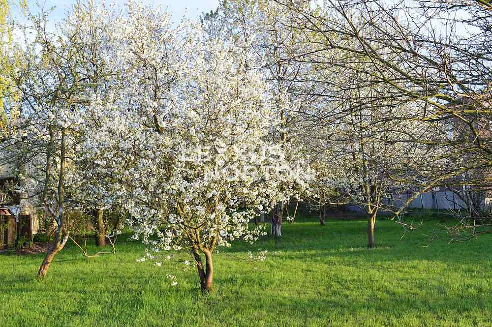 Prodej stavebního pozemku 2 573 m² – pohled 5