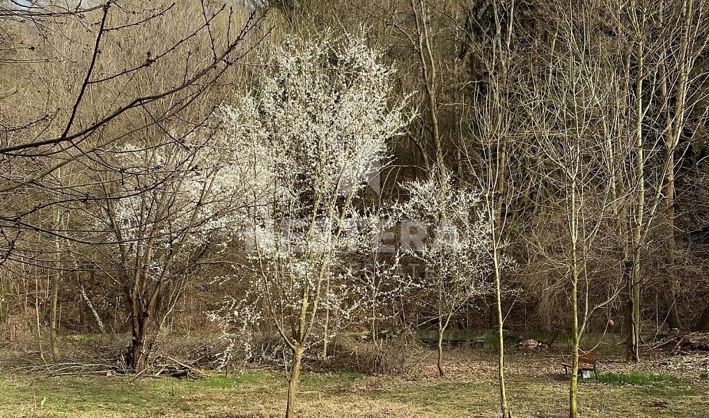 Prodej stavebního pozemku 5 321 m², Úholičky – náhled fotky 8