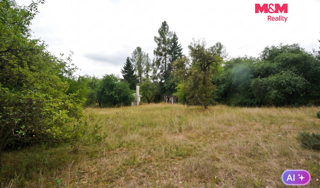 Prodej stavebního pozemku 2 828 m², Družec – náhled fotky 13
