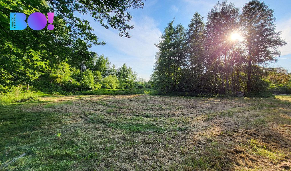 Prodej stavebního pozemku 835 m², Ludgeřovice – náhled fotky 5