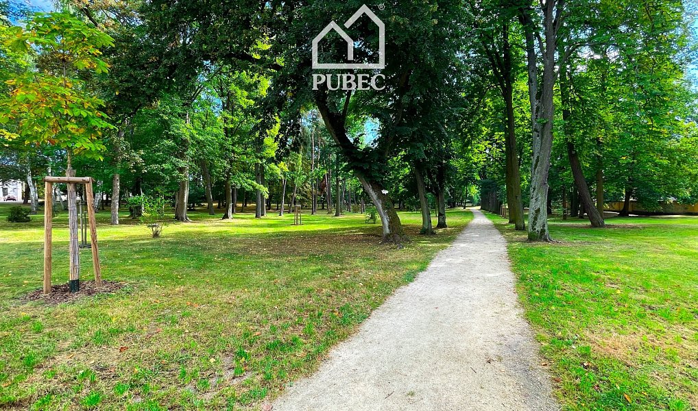 Prodej obchodních prostor 191 m², Františkovy Lázně – náhled fotky 13