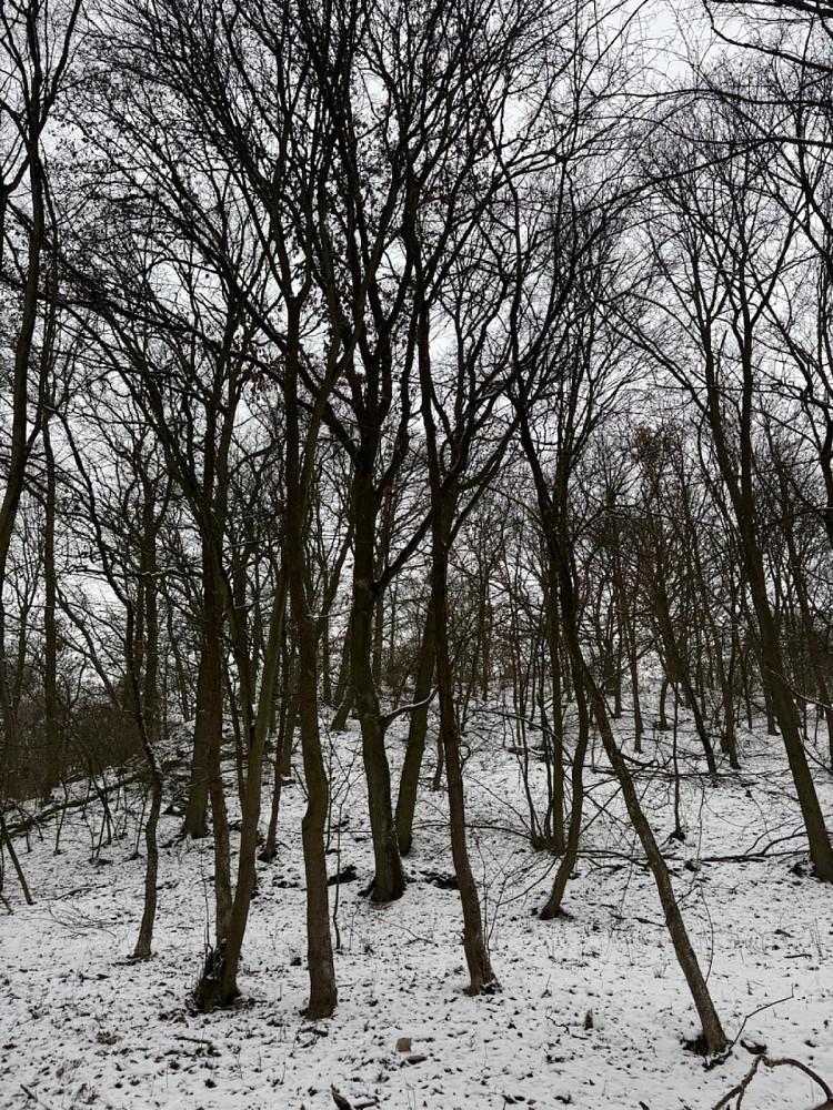 Dům – Chotiměř, okres Litoměřice – pohled 5