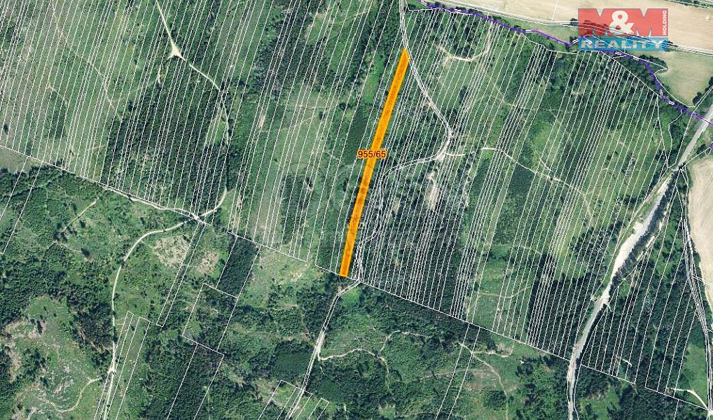 Prodej lesa 6 647 m², Nová Hradečná – náhled fotky 6