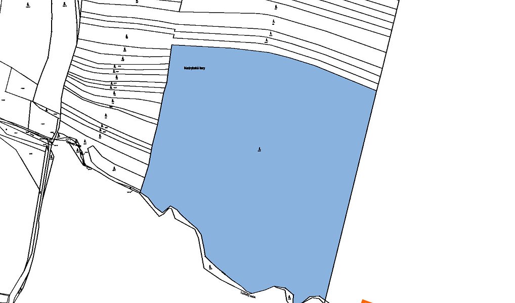 Prodej lesa 15 173 m², Nadryby – náhled fotky 2