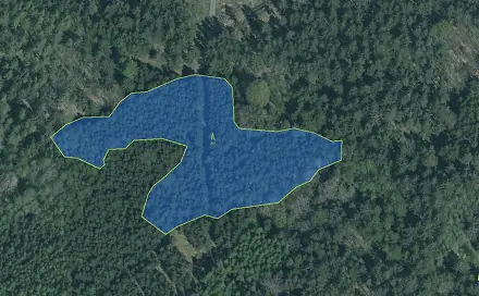 Prodej lesa 1 057 m², Louňová - Nýřany