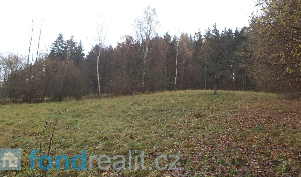Prodej pole 10 224 m², Zdíkov – fotka 1 z 10