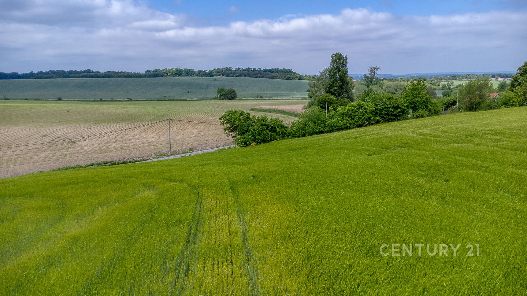 Prodej stavebního pozemku 1 510 m² – fotografie 5